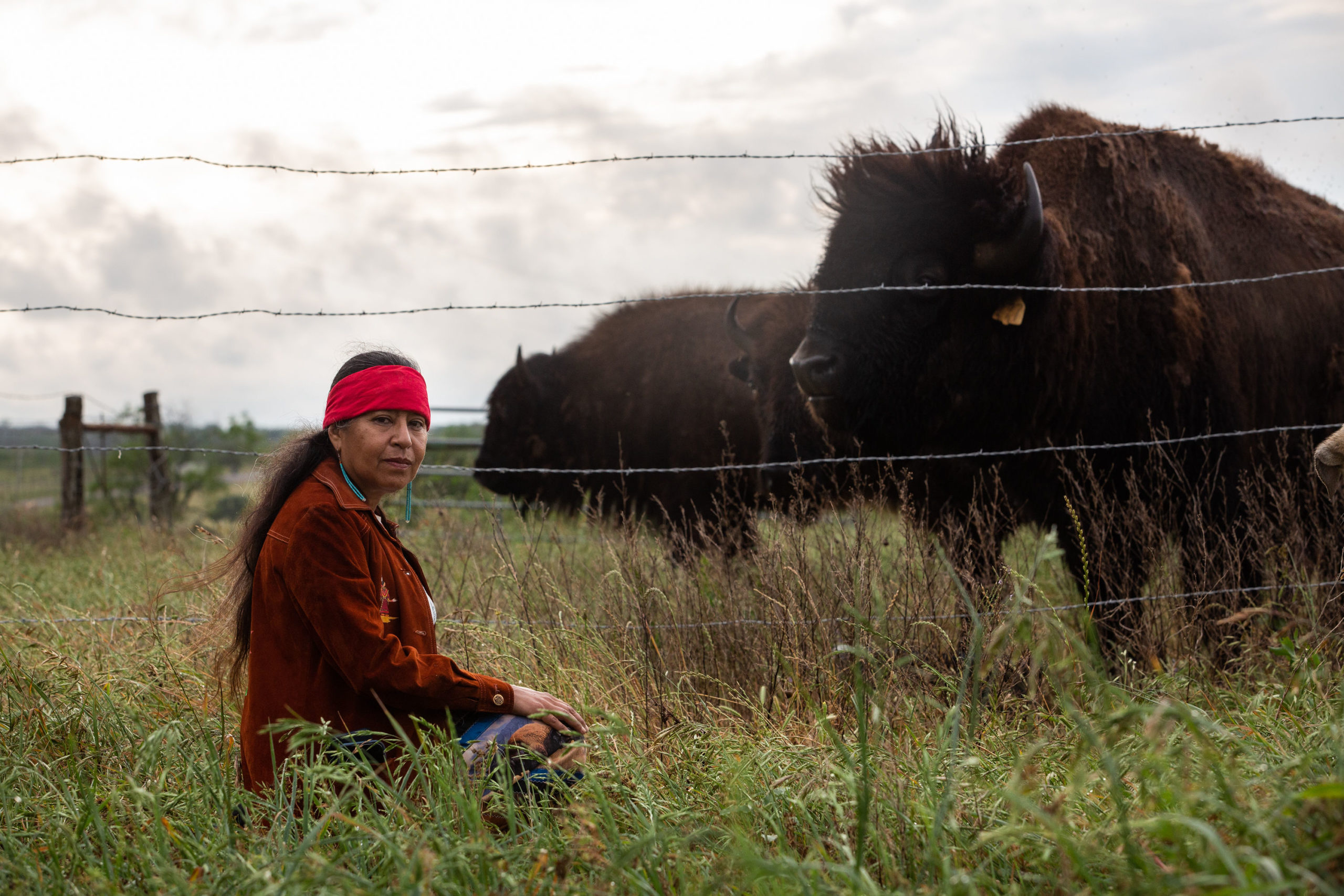 Lipan apache buffalo