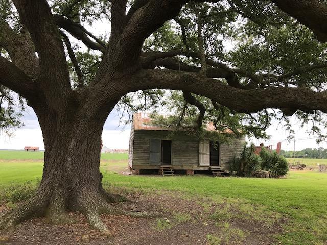 life of enslaved on plantation